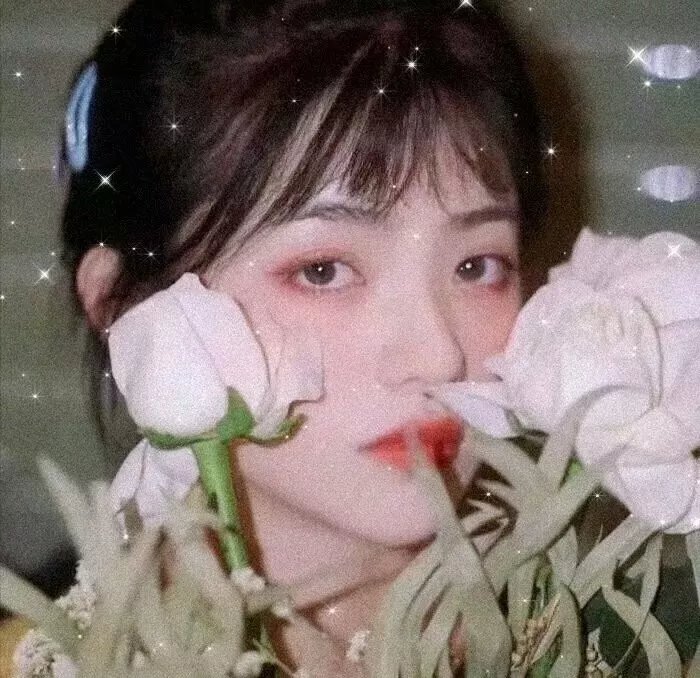 诅咒1988